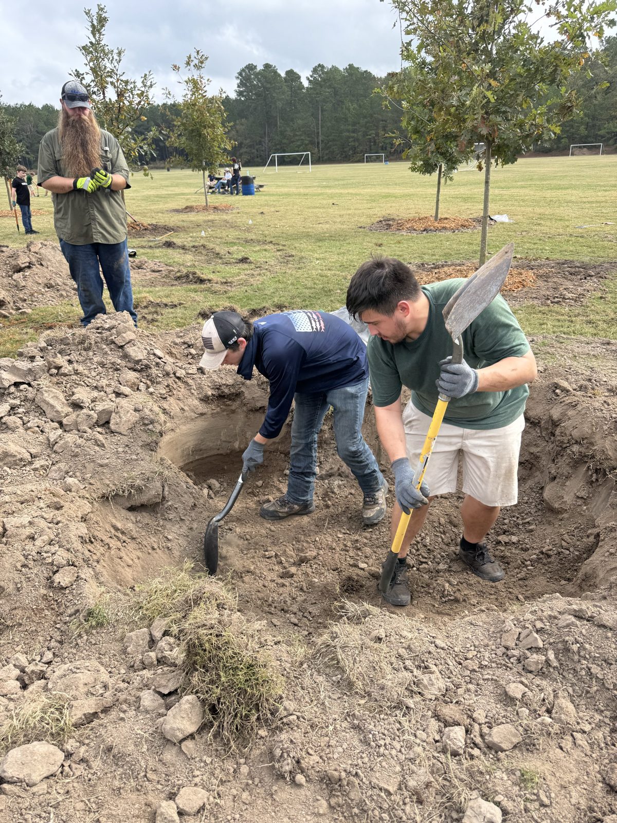 Volunteer tree planting, photo 2