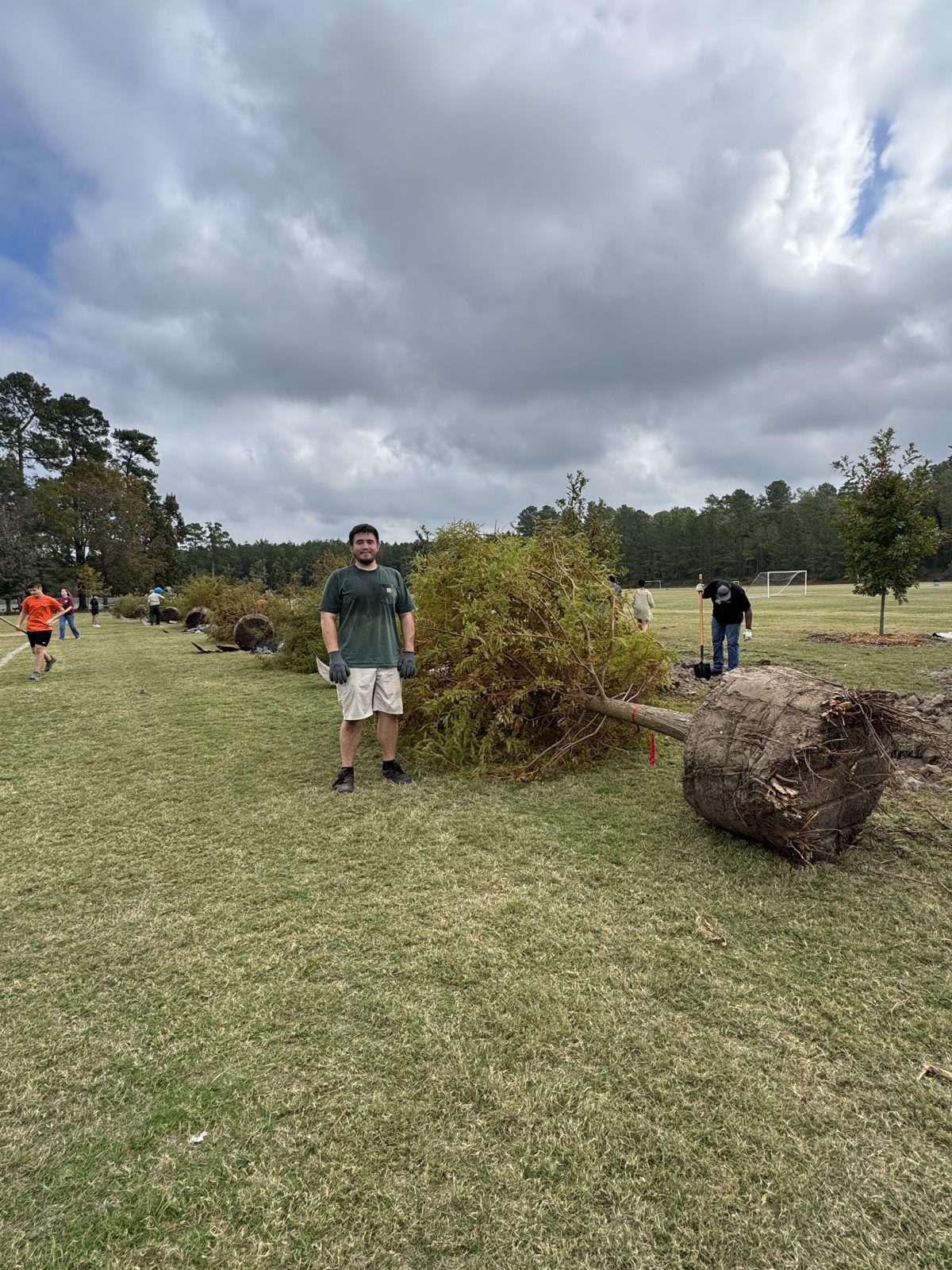 Volunteer tree planting, photo 3