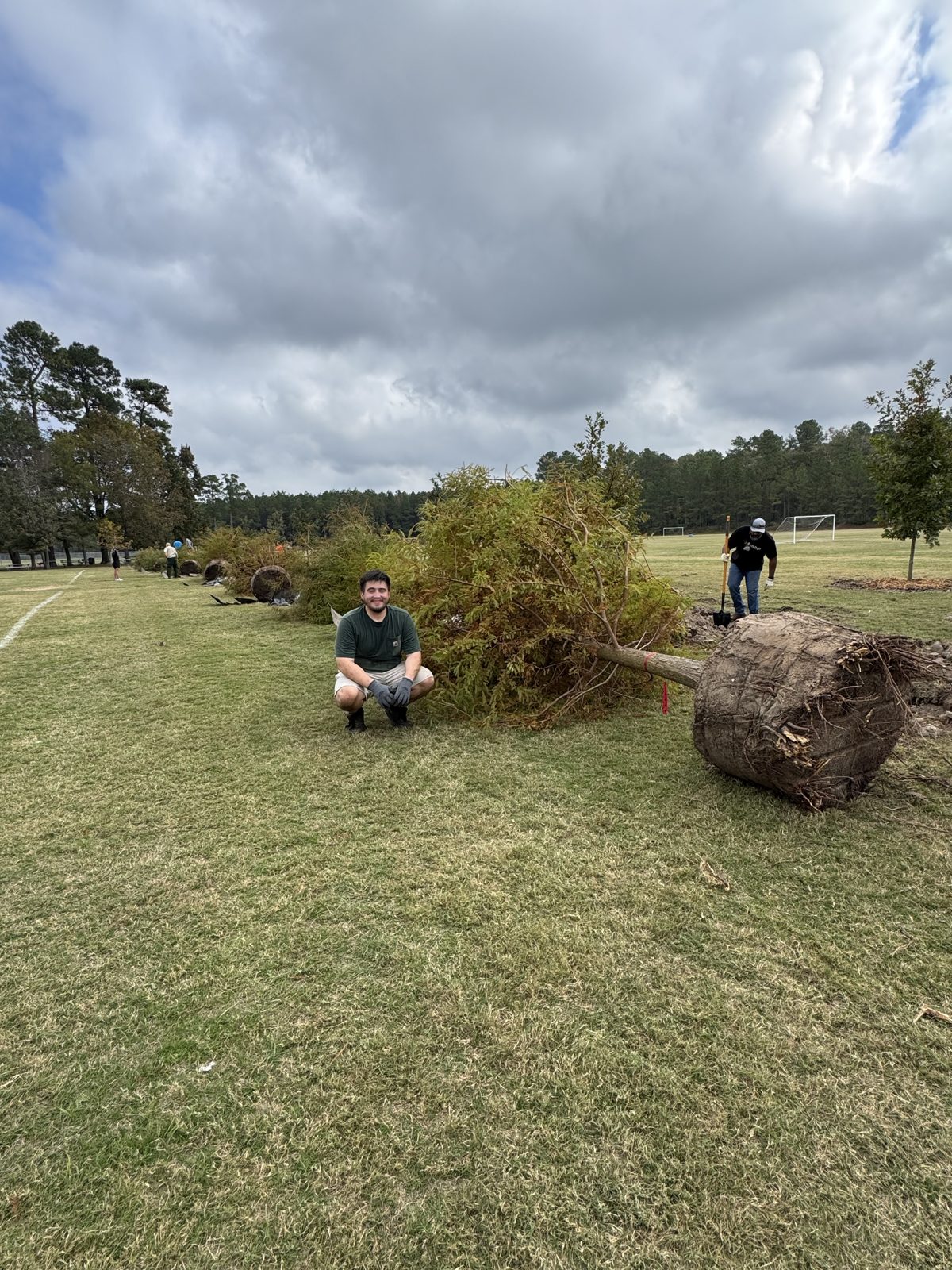 Volunteer tree planting, photo 4